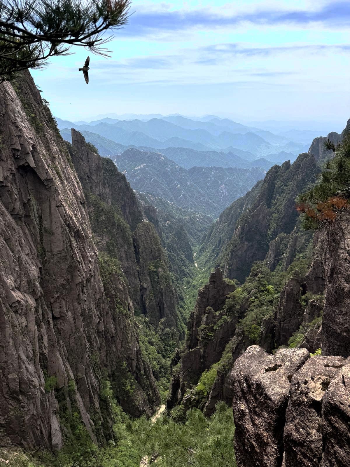 שתפי עם כל הקבוצה