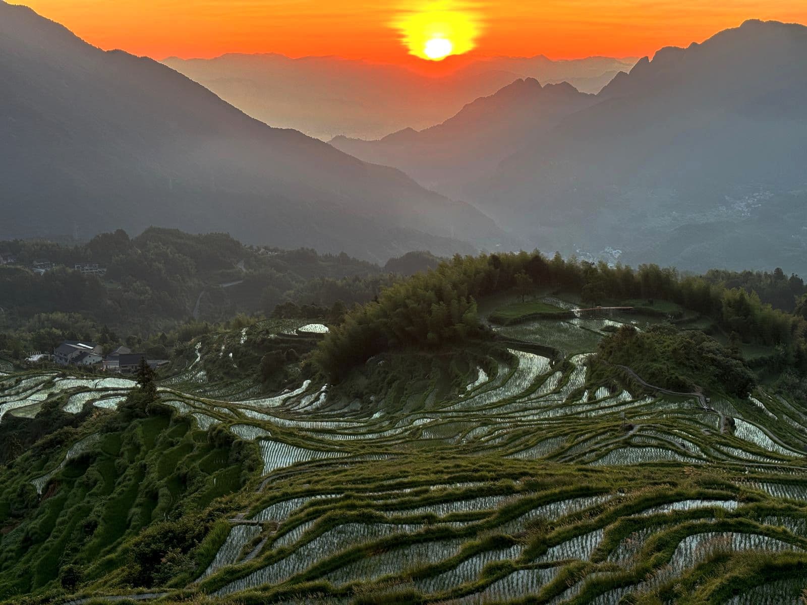 כל פרט, כפי שרצית