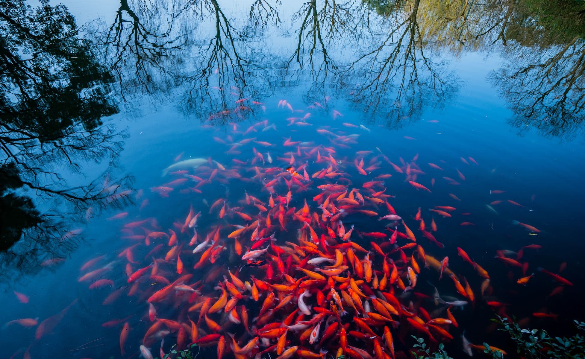 חואָה־גאנג